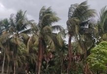 সাগরে নিম্নচাপ, চার বন্দরে ৩ নম্বর সতর্কতা