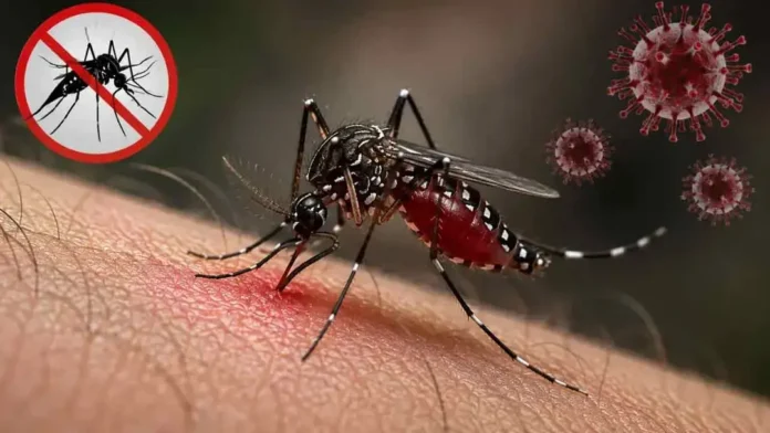 dengue-20260926163503